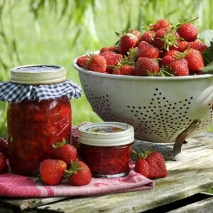 Jam Season - Fruit Jams