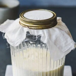 Natural White Yogurt